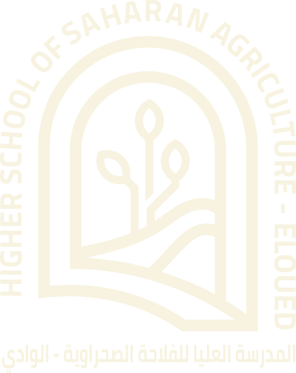 hssae logo light