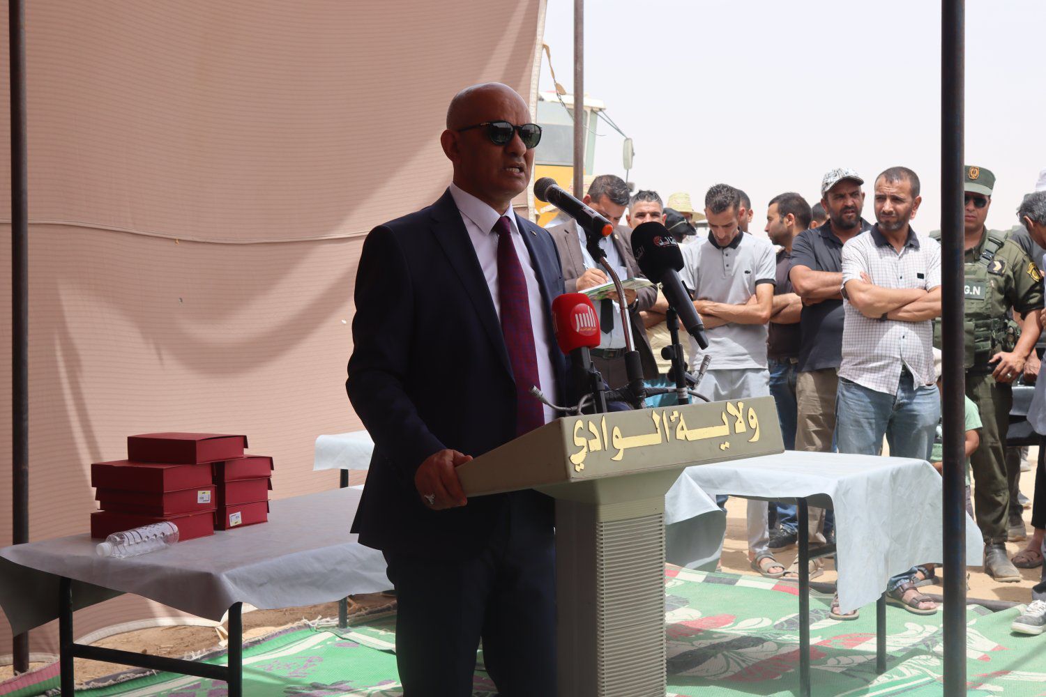 Harvest Season Opens in El Oued, Reinforcing Food Security and Agricultural Development