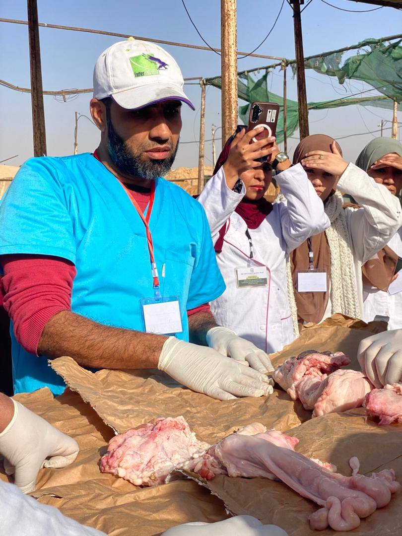 الورشة التكوينية ادارة التكاثر واساليب التغذية للابقار الحلوب في المناطق الصحراوية