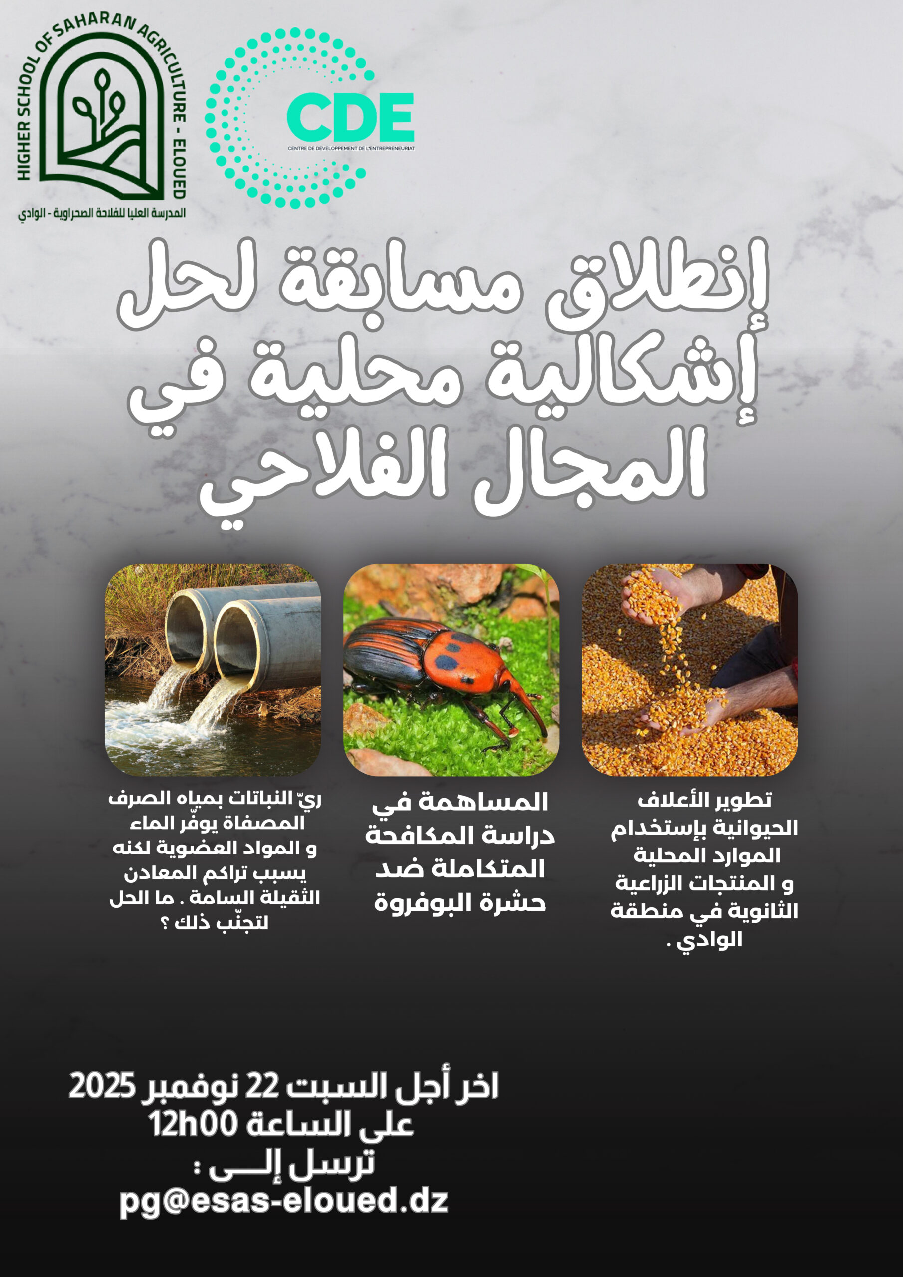 إنطلاق مسابقة لحل إشكالية محلية في المجال الفلاحي