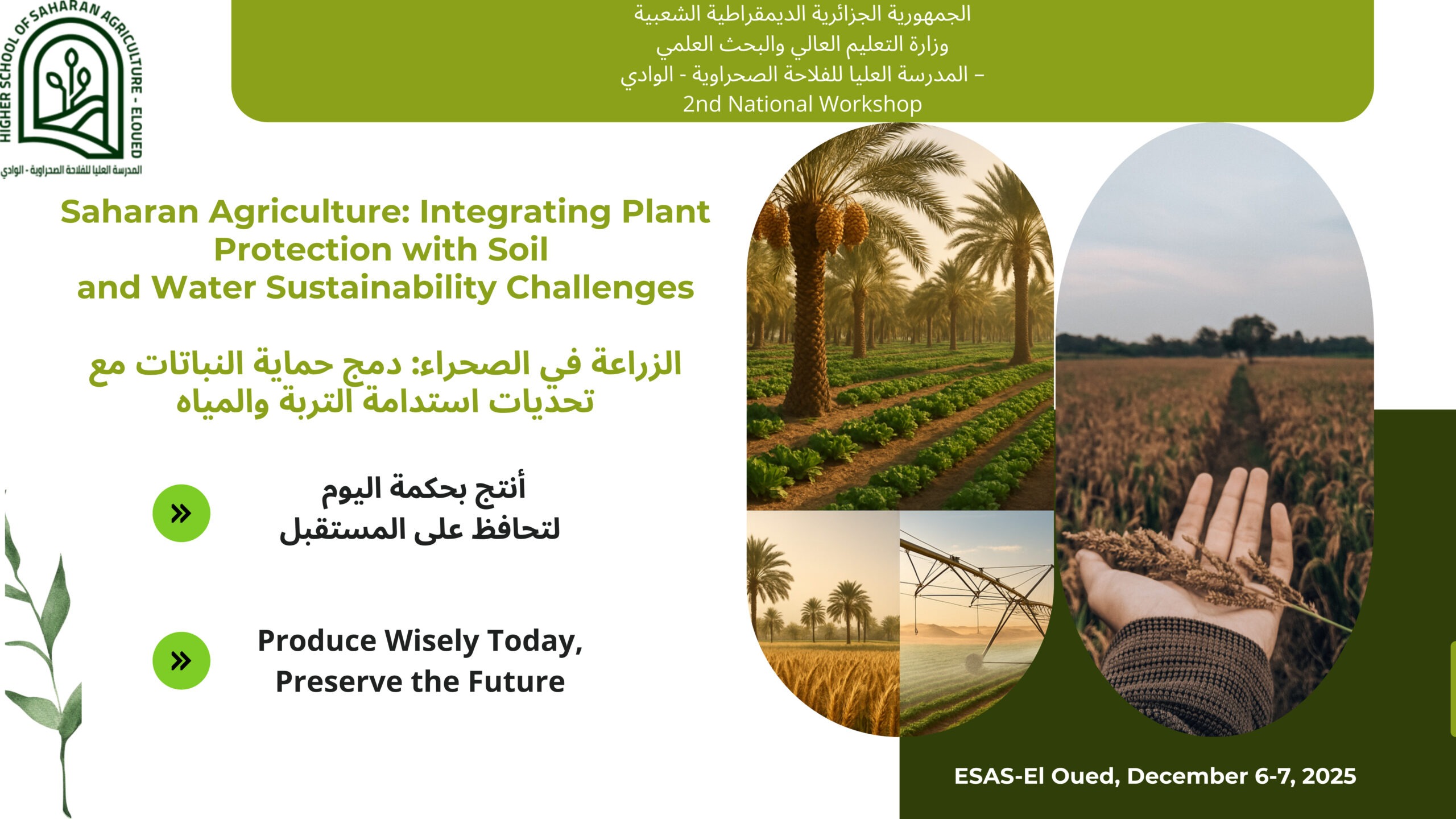 ورشة الزراعة في الصحراء ديسمبر 2025