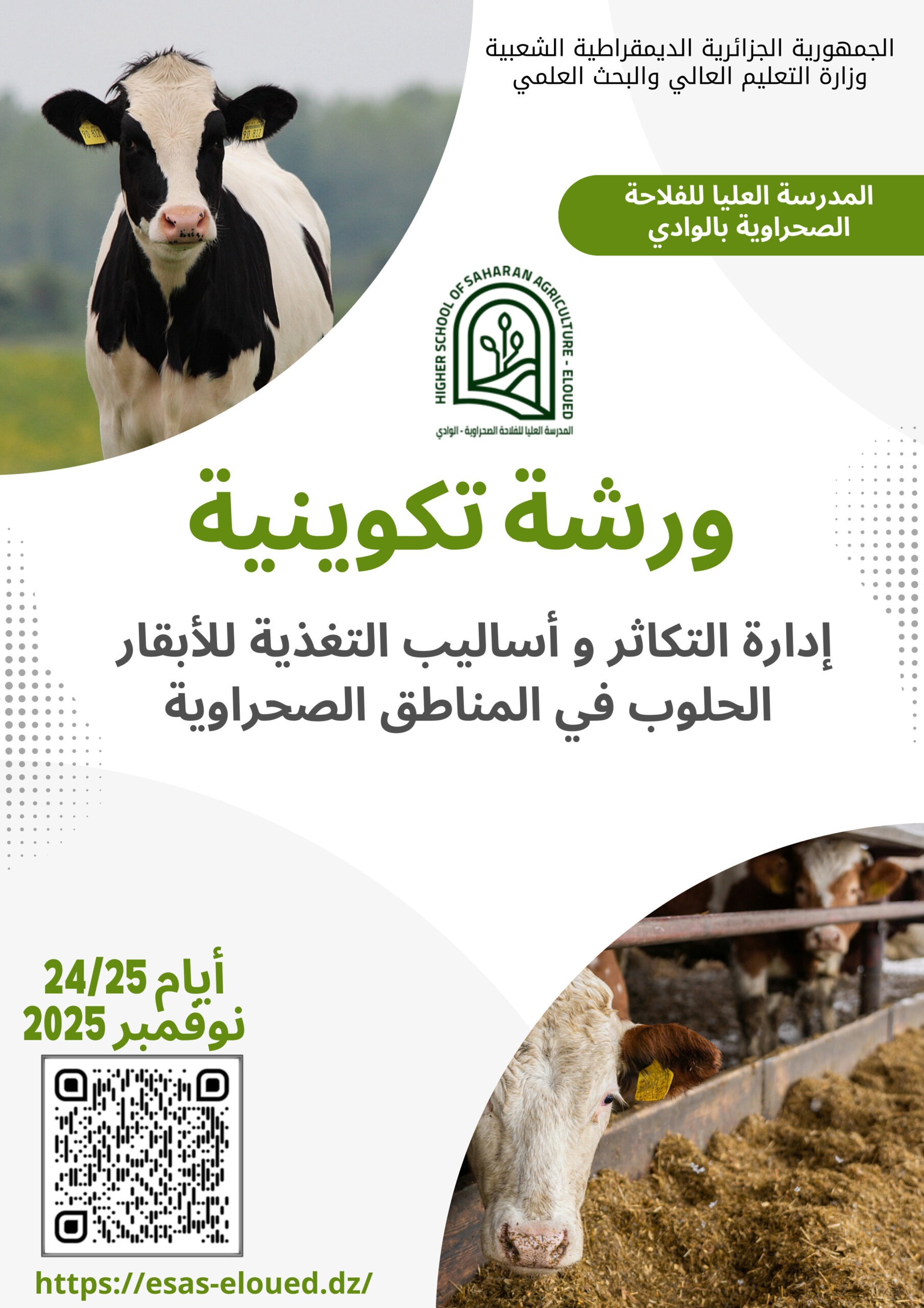 ورشة تكوينية في البقر 2025