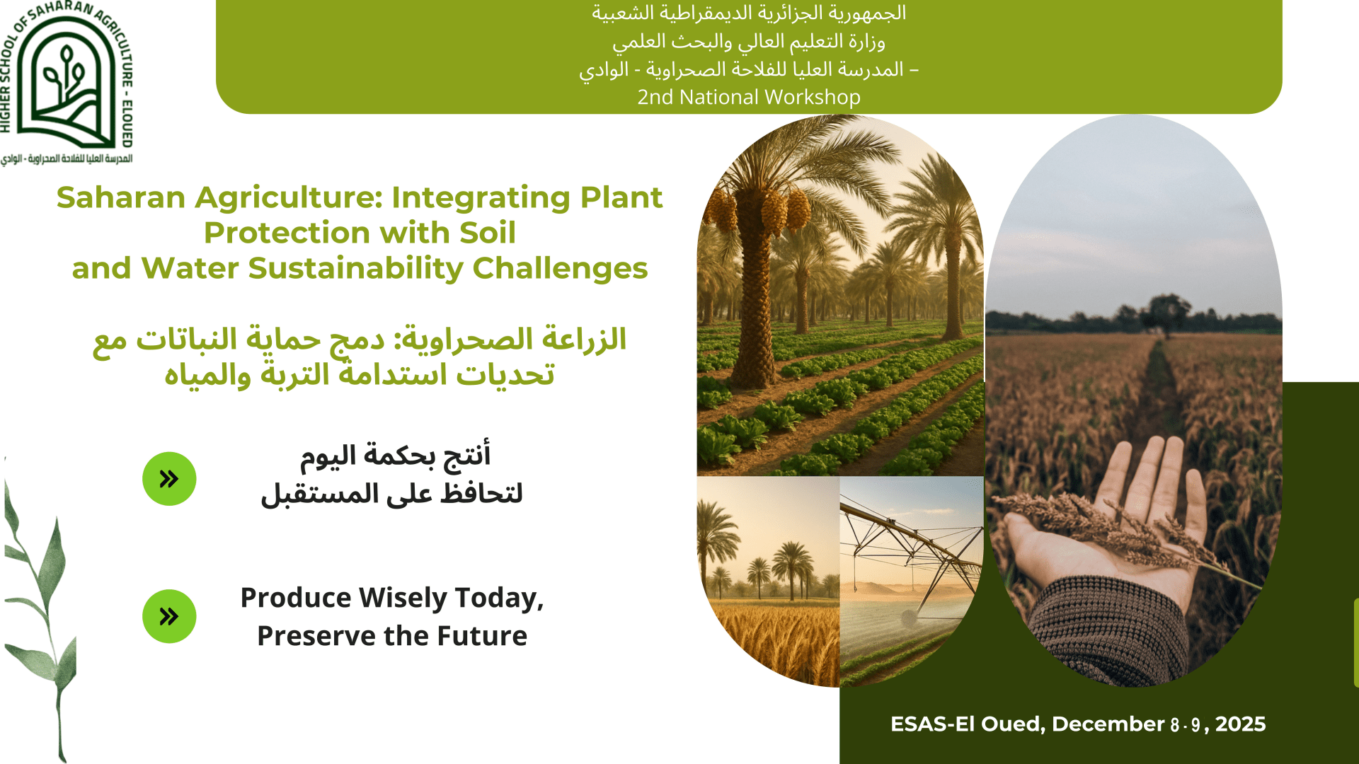 ورشة الزراعة في الصحراء ديسمبر 2025